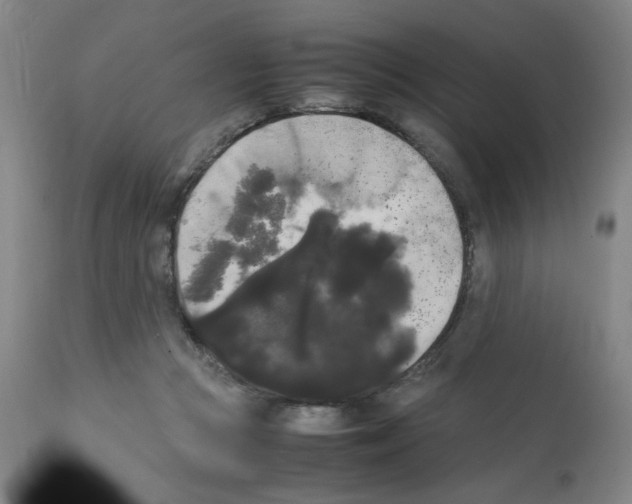 X0000112070361200909151054