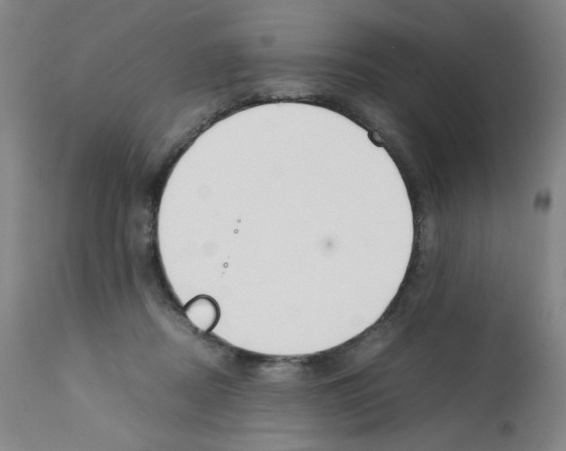X0000112070362200909151054