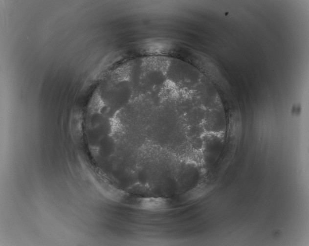 X0000112070363200909151054