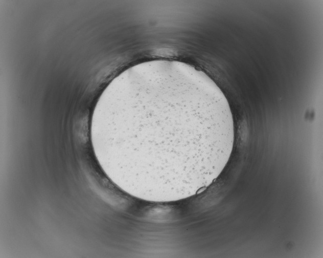 X0000112070364200909151054
