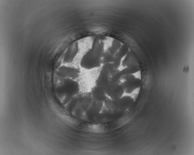 X0000112070365200909151054
