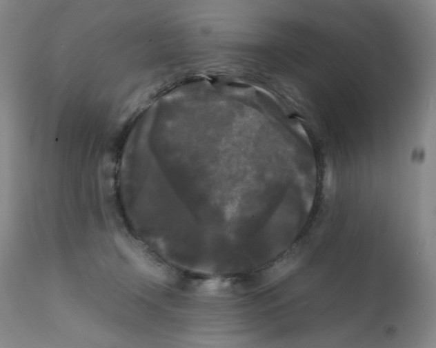 X0000112070366200909151054