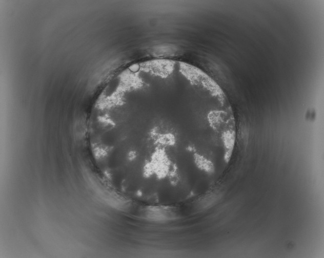 X0000112070367200909151054