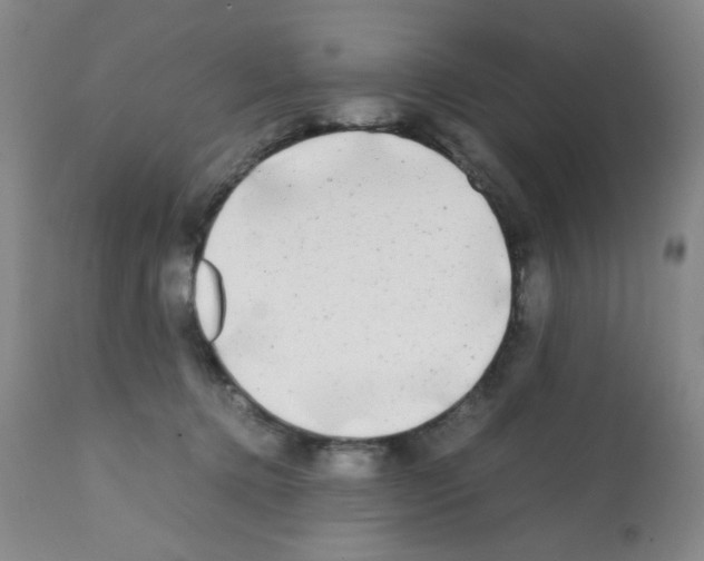 X0000112070368200909151054