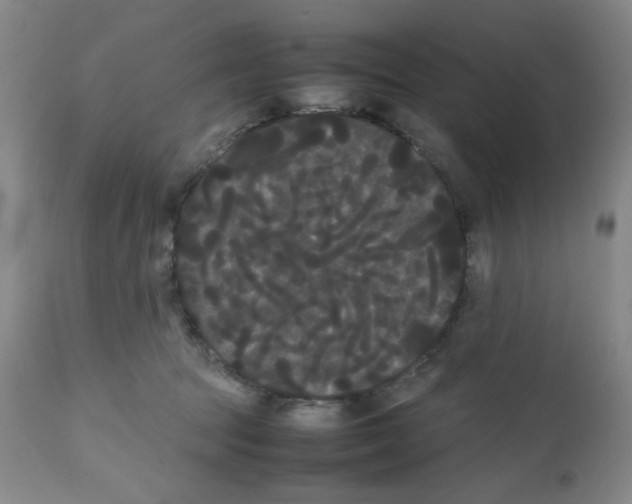 X0000112070369200909151054