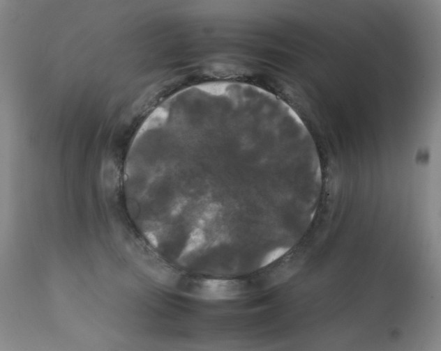 X0000112070371200909151054