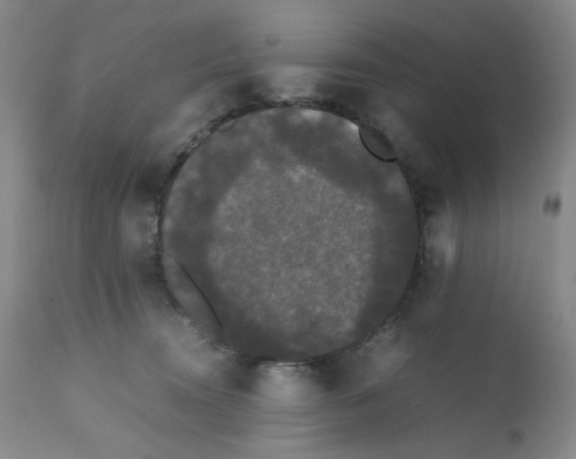 X0000112070372200909151054