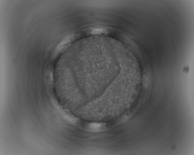 X0000112070375200909151054
