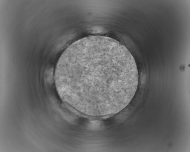 X0000112070376200909151054
