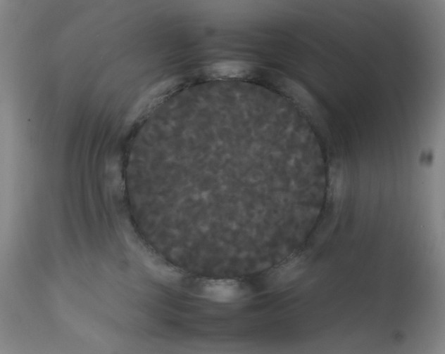 X0000112070377200909151054