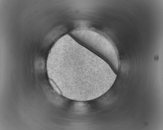 X0000112070380200909151054