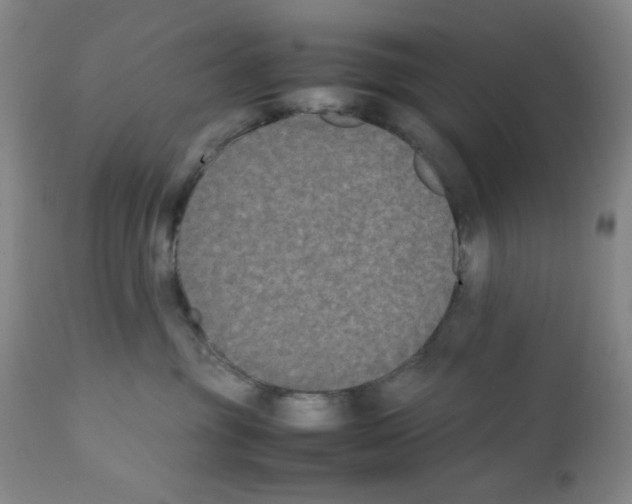 X0000112070381200909151054