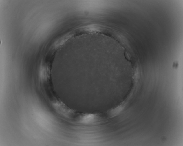 X0000112070382200909151054