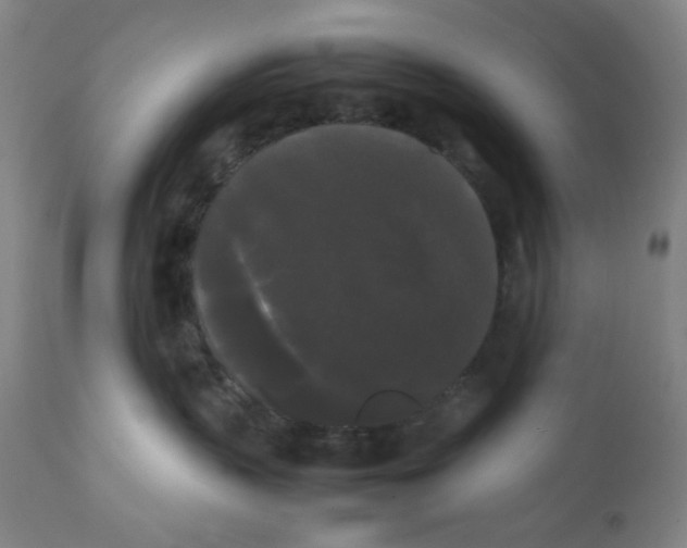 X0000112070383200909151054