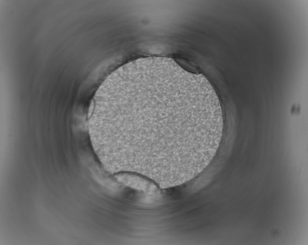 X0000112070384200909151054