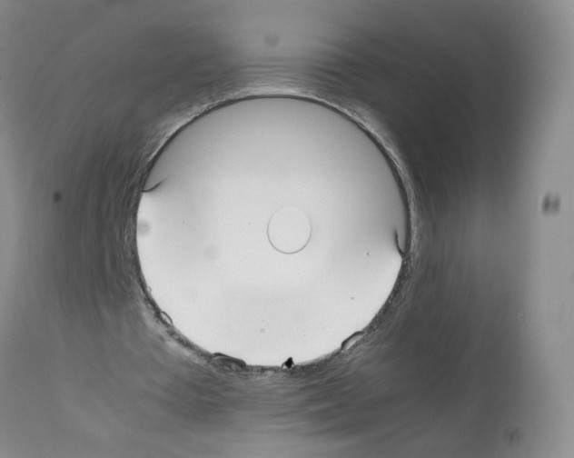 X0000112070385200909151053