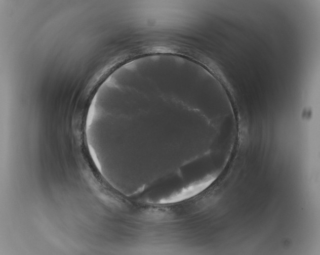 X0000112070386200909151053