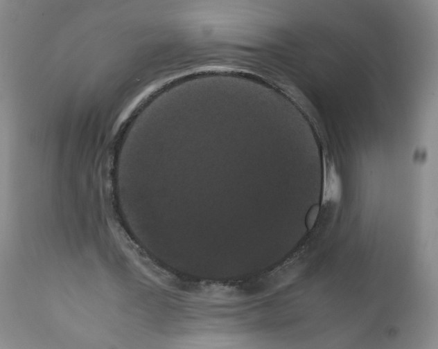 X0000112070387200909151053