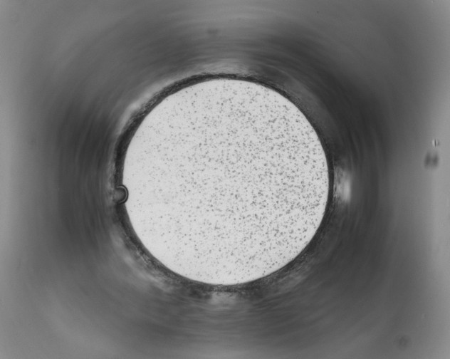 X0000112070388200909151053