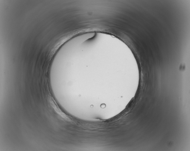 X0000112070389200909151053