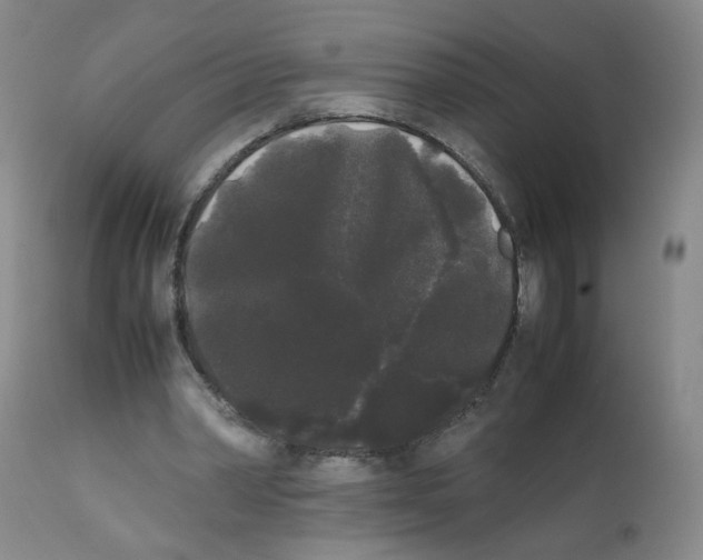 X0000112070390200909151053