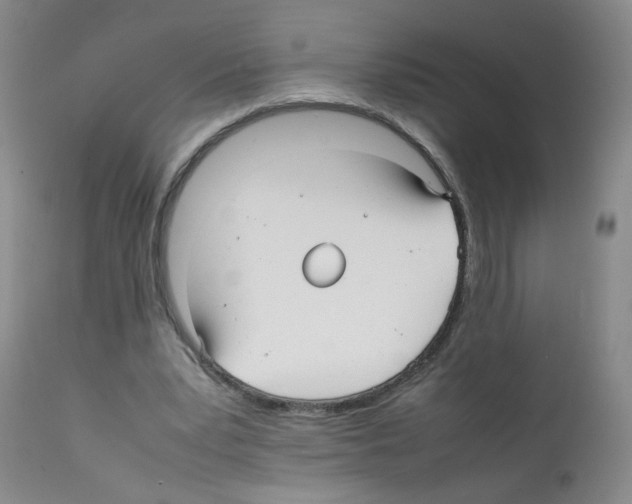 X0000112070391200909151053