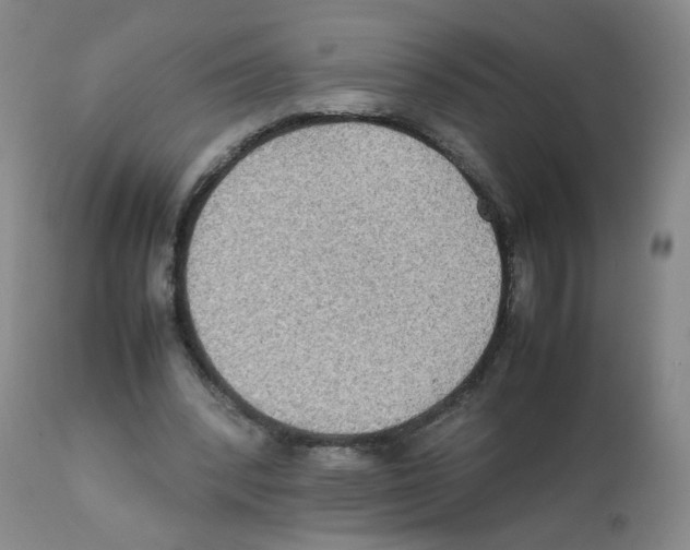 X0000112070392200909151053