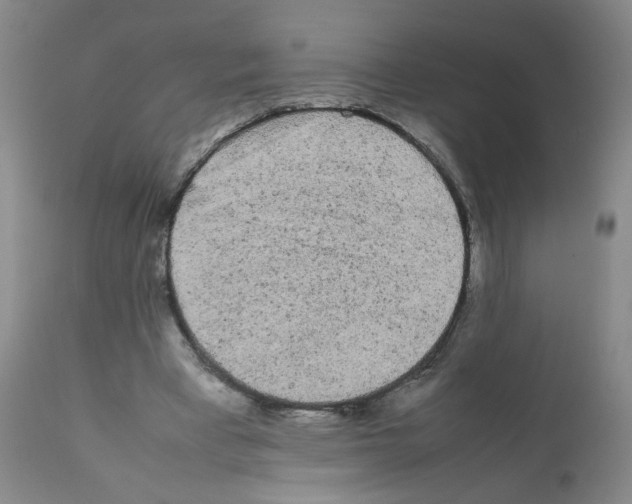 X0000112070393200909151053