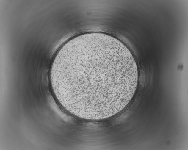 X0000112070394200909151053