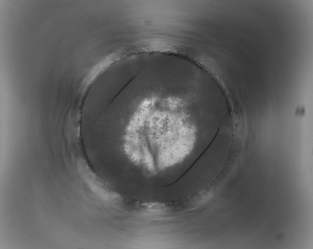 X0000112070395200909151053