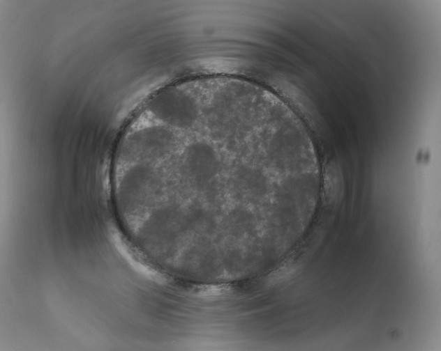 X0000112070398200909151053