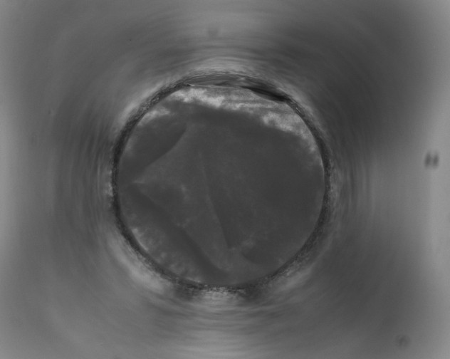 X0000112070399200909151053
