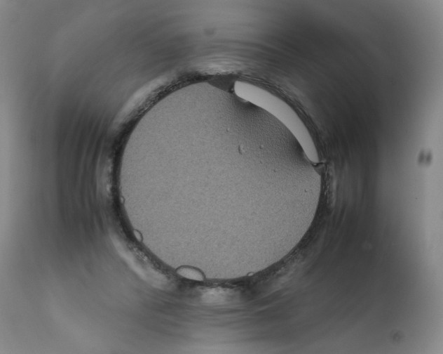 X0000112070400200909151053