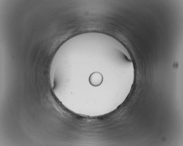 X0000112070401200909151053