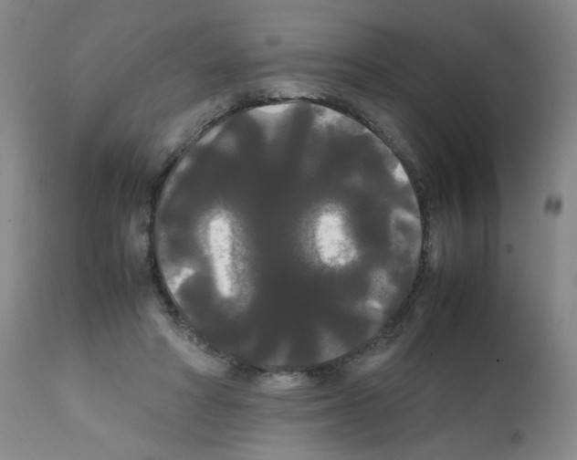 X0000112070402200909151053