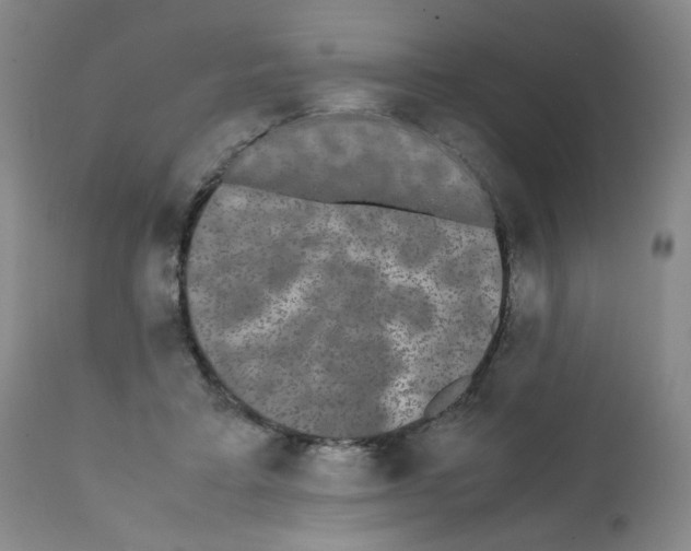 X0000112070403200909151053