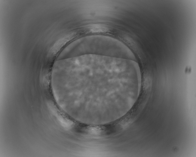 X0000112070405200909151053