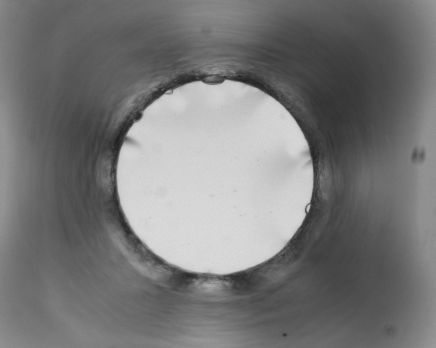X0000112070407200909151053