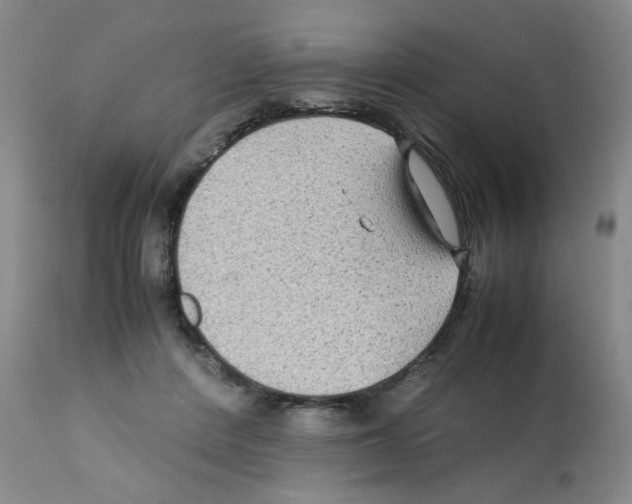 X0000112070408200909151053
