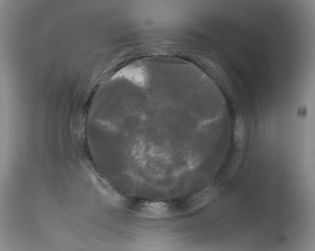 X0000112070409200909151053