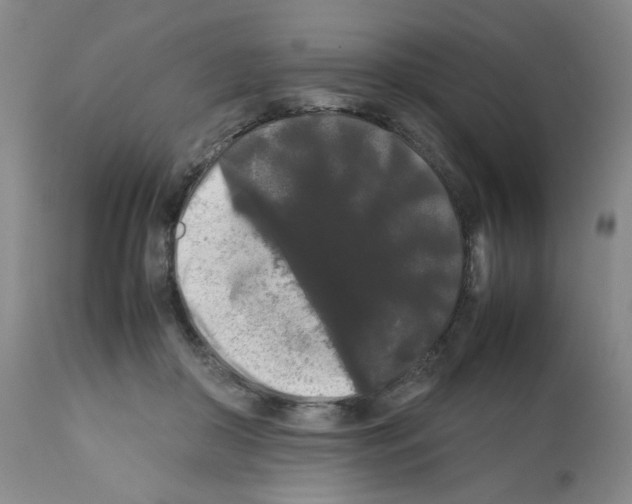 X0000112070410200909151053