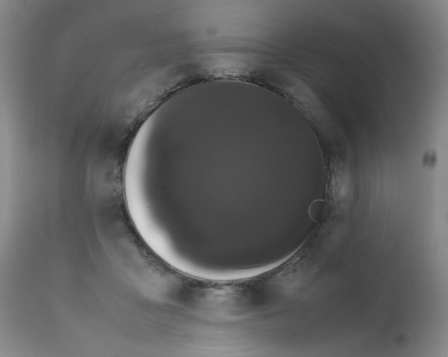 X0000112070411200909151053