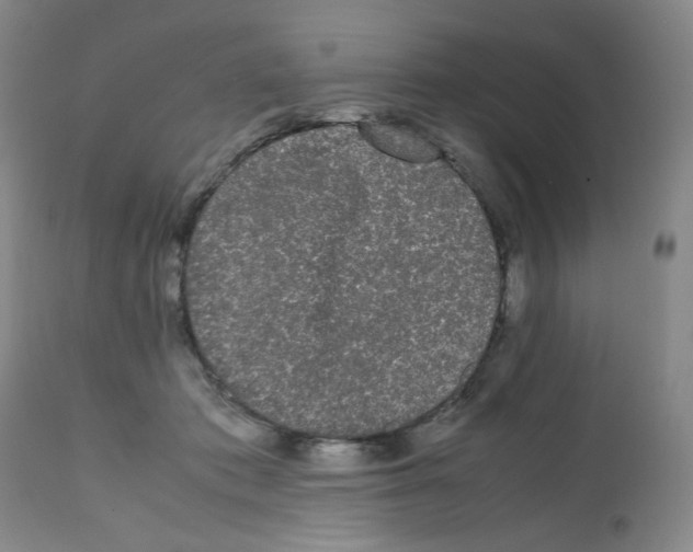 X0000112070413200909151053
