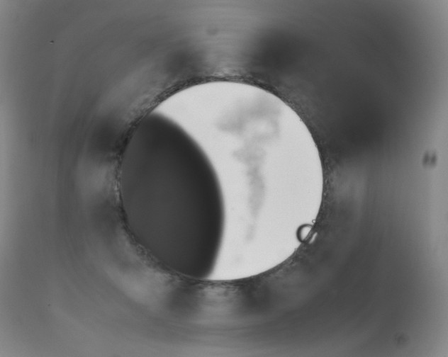 X0000112070415200909151053