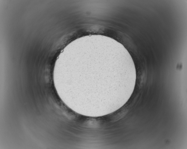 X0000112070416200909151053