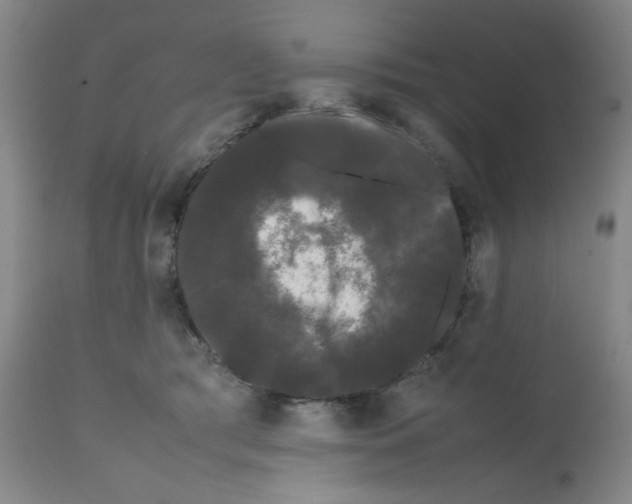X0000112070417200909151053