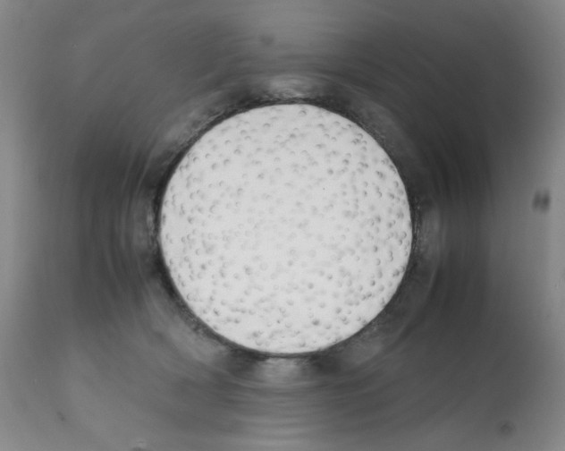X0000112070418200909151053