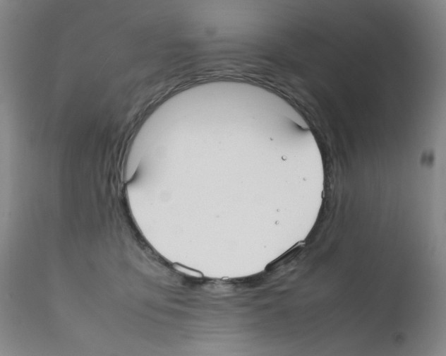 X0000112070419200909151053
