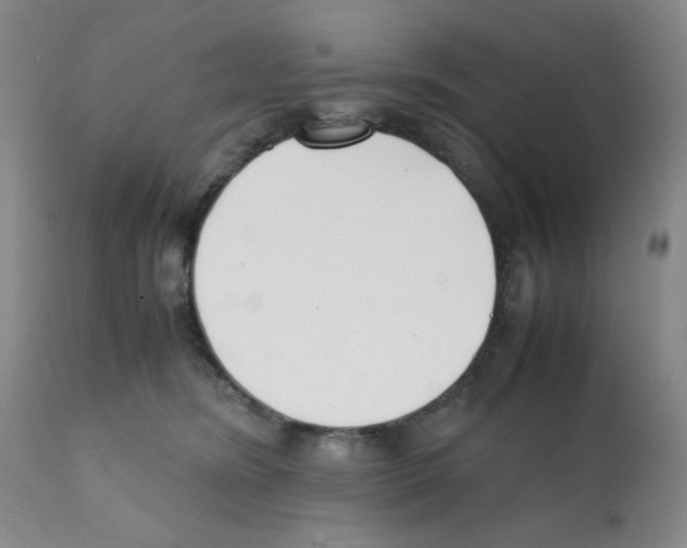 X0000112070420200909151053