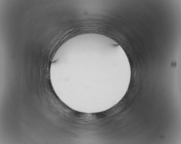 X0000112070421200909151053